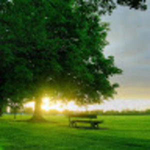 Meet your Posher, Shanise